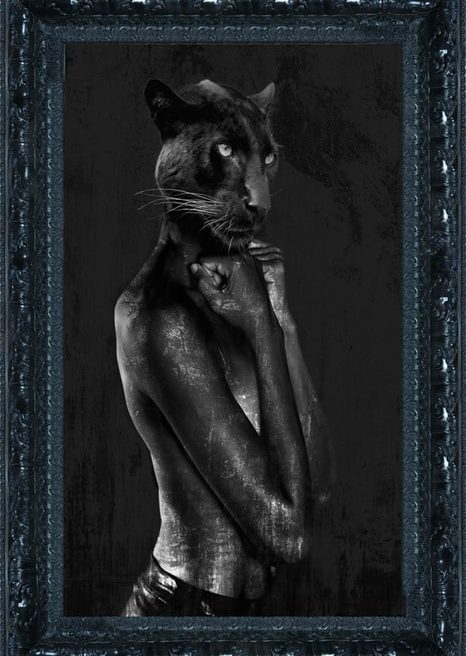 Schilderij Black Elegance BOR078+3675A03bl Black Frame