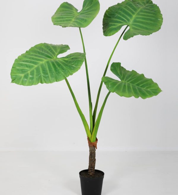 Zijdeplant in pot Alocasia/ Olifantsoor
