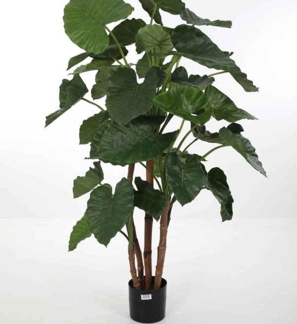 Zijdeplant in pot Alocasia Calidora/ Olifantsoor