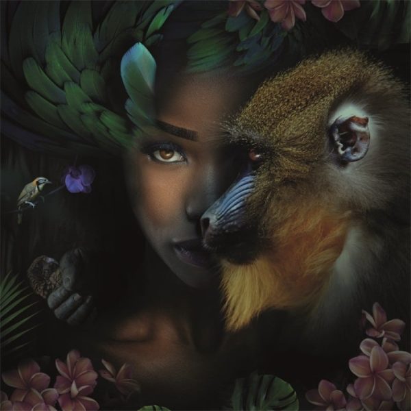 Schilderij Monkey & me glans aluminium