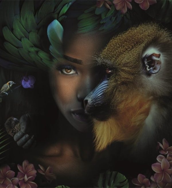 Schilderij Monkey & me glans aluminium