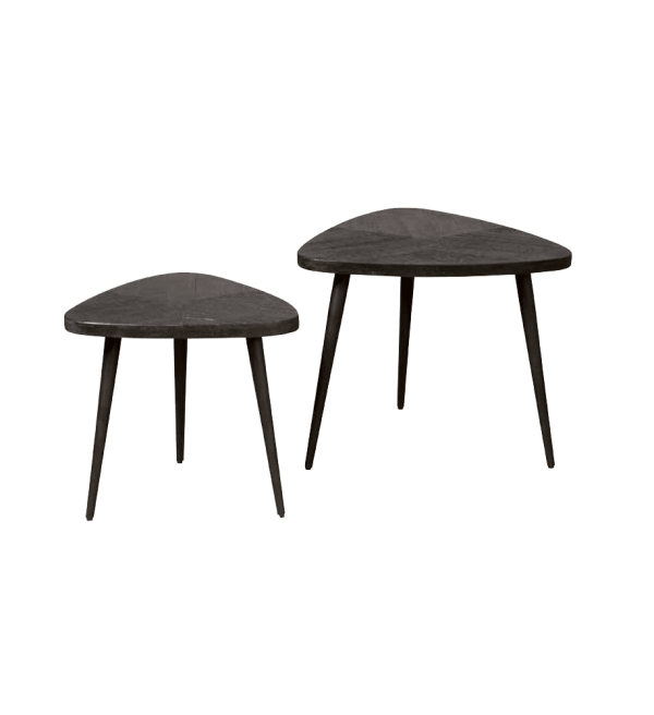 Tower Living bijzettafel set van 2 Viola black mangohout