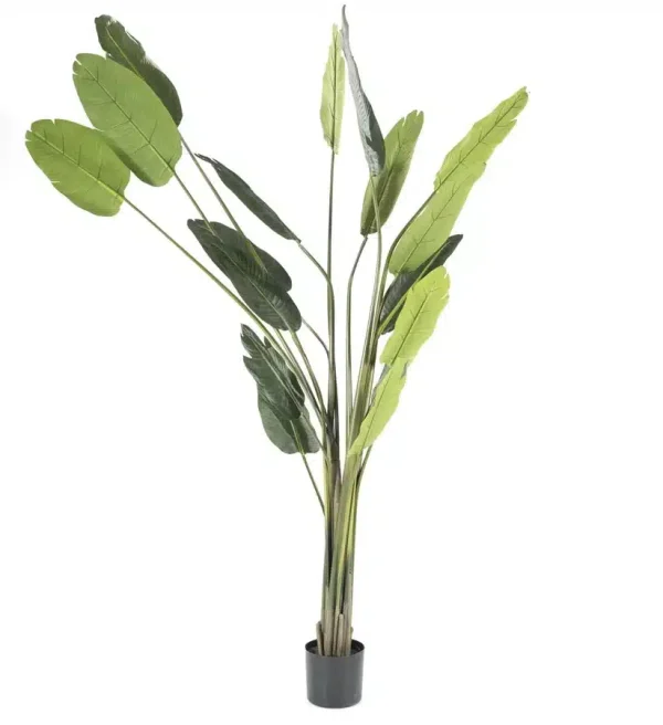 By-Boo Strelitzia large Ø46x220 cm