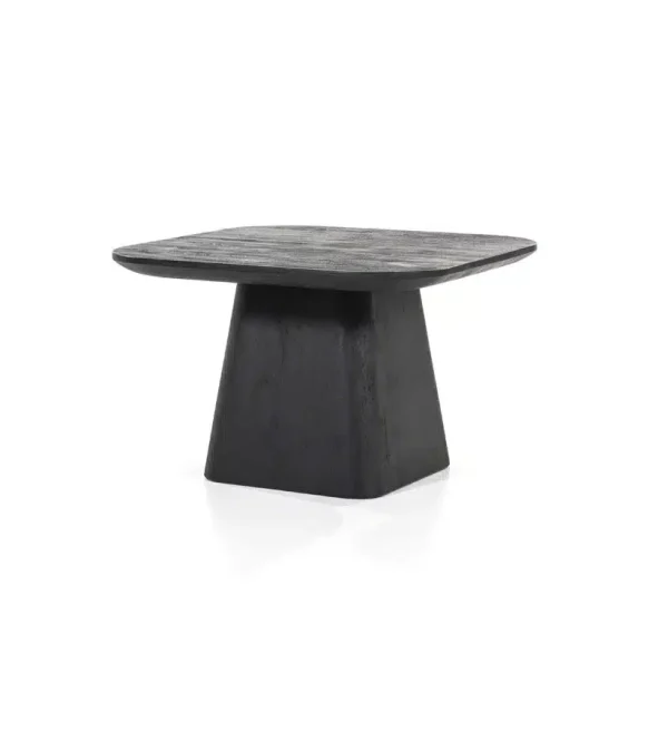 Eleonora bijzettafel Aron 60x60x39 cm vierkant mangohout zwart