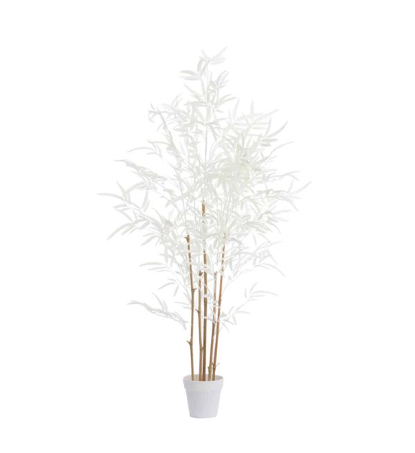 Light & Living ornament in pot 60x70x120 cm bamboo naturel+crème