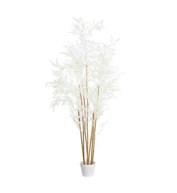 Light & Living ornament in pot 60x70x150 cm bamboo naturel+crème