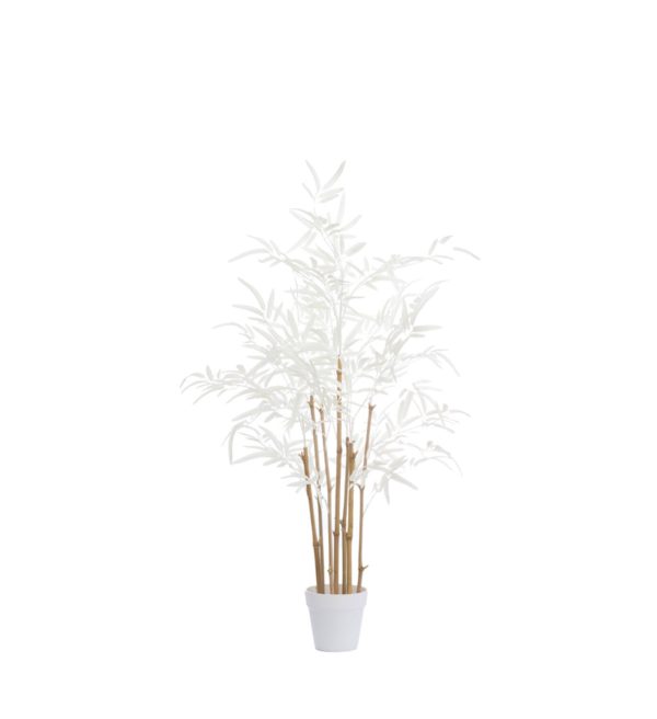 Light & Living ornament in pot 60x70x90 cm bamboo naturel+crème