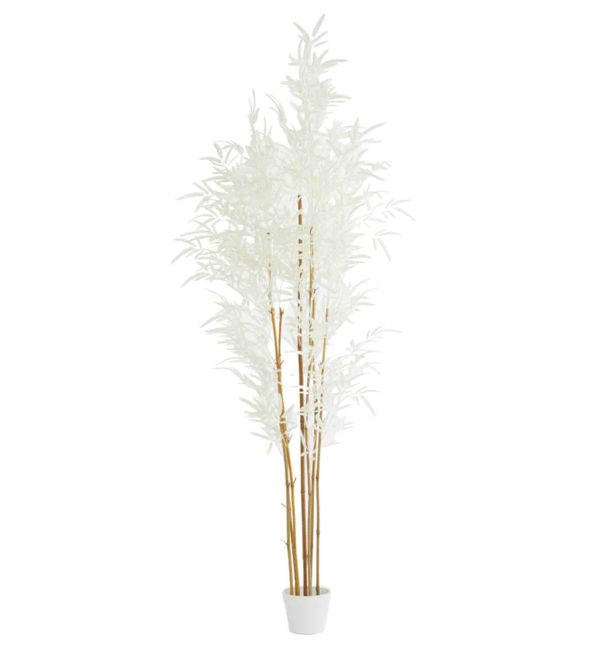 Light & Living ornament in pot 60x70x180 cm bamboo naturel+crème