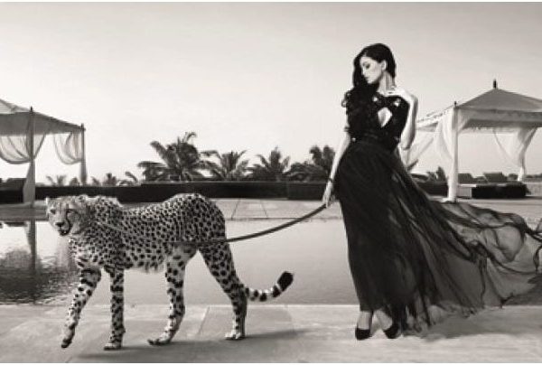 Schilderij Leashed Beauty