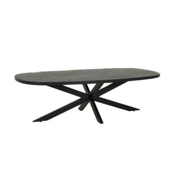 Tower Living salontafel Silvi 130x70x40 cm mangohout zwart