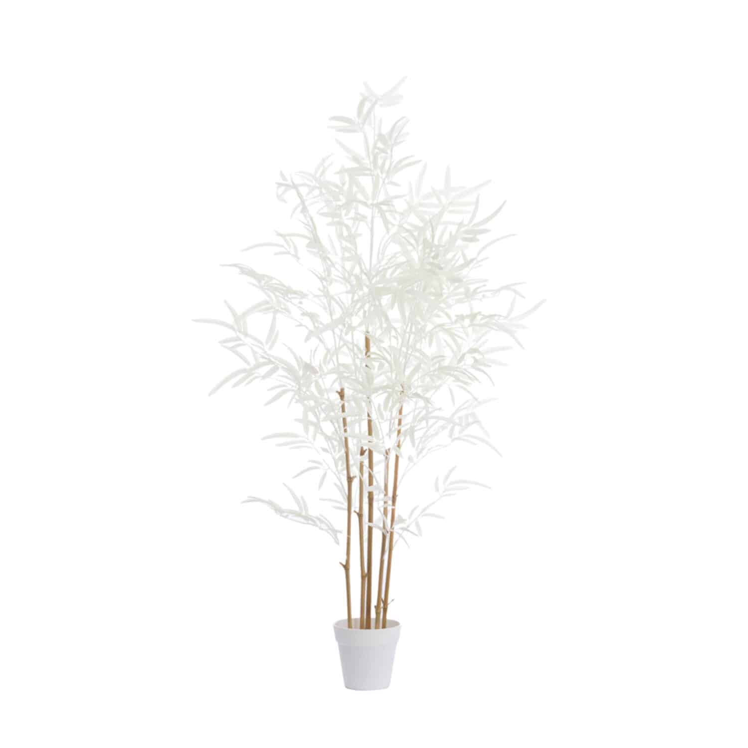 Light & Living ornament in pot 60x70x120 cm bamboo naturel+crème