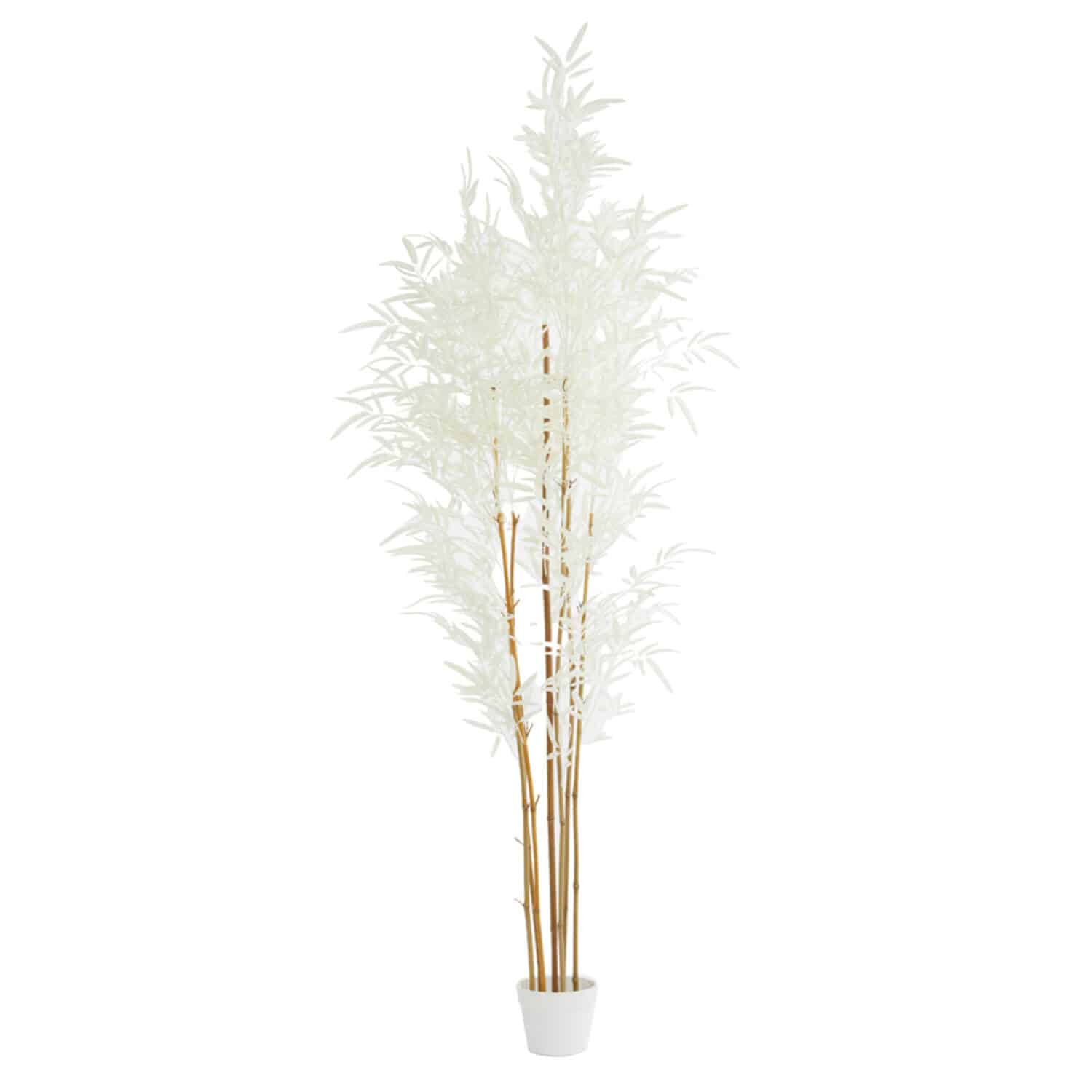 Light & Living ornament in pot 60x70x180 cm bamboo naturel+crème