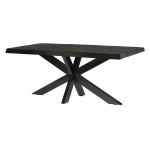 Livingfurn eettafel Norris Tree Top Spider 200cm