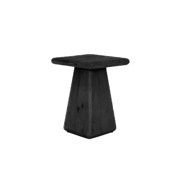 Tower Living bijzettafel Asti 40x40x55 cm vierkant mangohout zwart